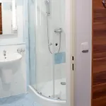 Apartment Lipno Wellness - C 401 *