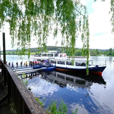 Lipno Wellness - C 401 * Frymburk