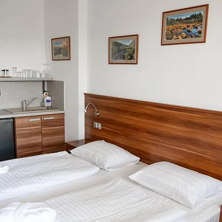 Апартаменты Lipno Wellness - C 401