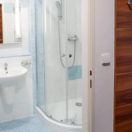 Апартаменты Lipno Wellness - C 401 *